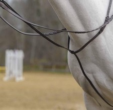 AVIGNON STANDING MARTINGALE