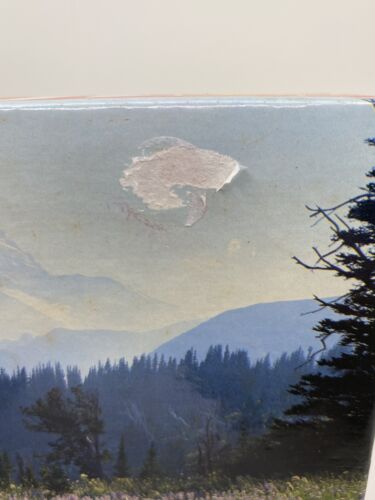 Vintage Mount Rainier National Park Puzzle 1000 Piece Mountains Purple Flowers - Picture 3 of 9