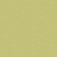 Northcott Wild Harvest by Deborah Edwards 27517 74 Sage Tonal  Cotton