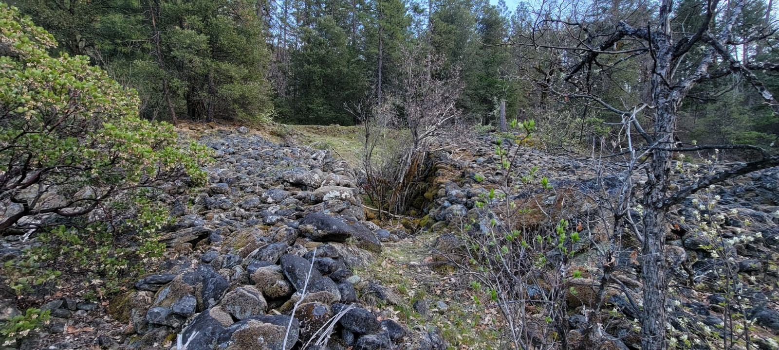 Off the beaten path is a 20 acre Gold claim on Canyon Creek/Trinity County Cali