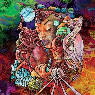 LIKE BLACK HOLES IN THE SKY: THE TRIBUTE TO SYD BARRETT - V/A - CD - *NEW*