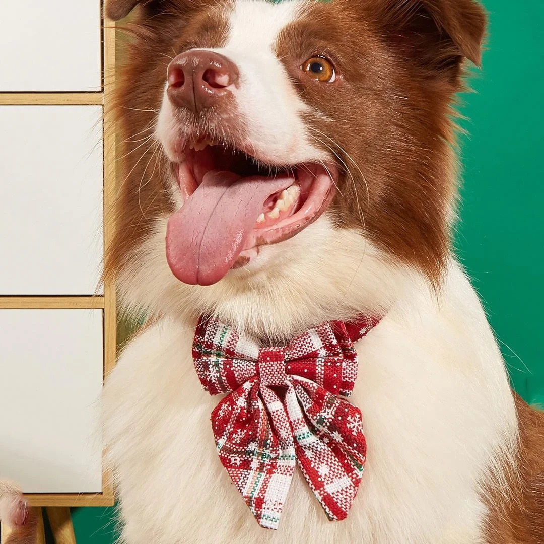 Plaid bow Collar-Christmas Dog collar-