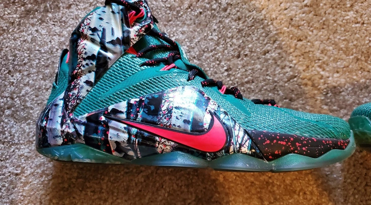 Lebron 12 akron birch sale