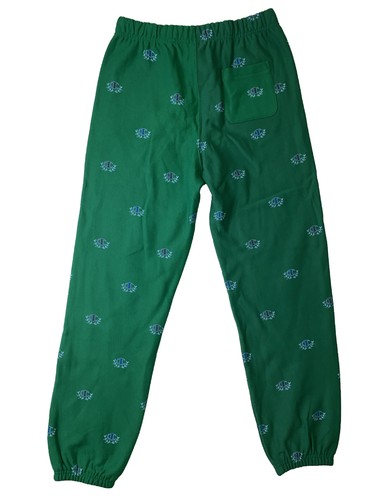Champion Women’s 100% AUTHENTIC long sweat pants size medium Sketch Green Vine - Picture 2 of 5