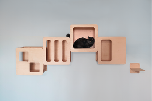 cat wall shelves