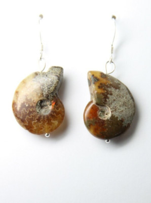 Ammonite Earrings Fossil Snail Gemstone 925 Sterling Silver Cephalopod Nautilus