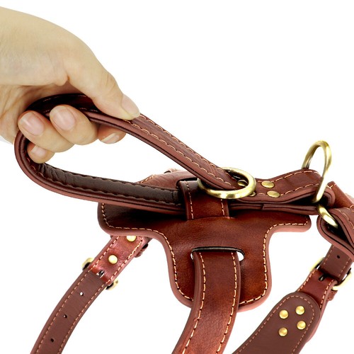 Brown Genuine Leather Dog Harness Personalized Nameplate Spiked Studded Pitbull - Picture 6 of 11