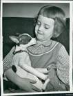 1961 Tippy Part Toy Terrier And Chihuahua In Plaster Casts Animals 7X9 Photo