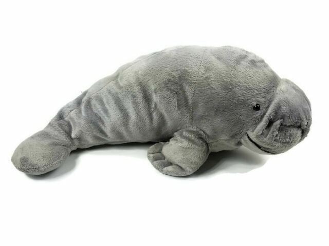 elephant seal stuffed animal