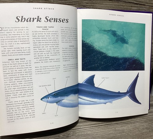 Libro de Ataque de Tiburones de Colección Fotografía Subacuática Grande Tapa Dura Mac McDiarmid - Imagen 10 de 20