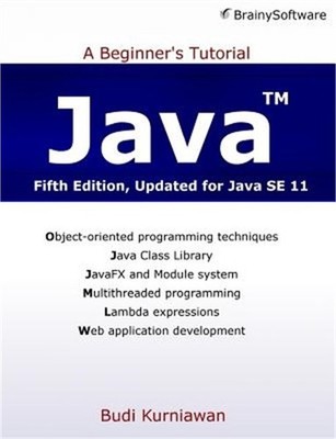 Java: A Beginner's Tutorial (Fifth Edition) (Paperback or Softback)