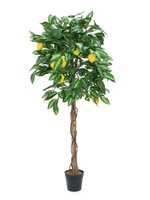 Artplants KüNstlicher Zitronenbaum, Naturstamm, 1000 BläTter, 150Cm