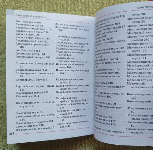 Акулы Мини-энциклопедия 2002 Д. Поттс Sharks Mini-Encyclopedia D. Potts - Picture 19 of 19