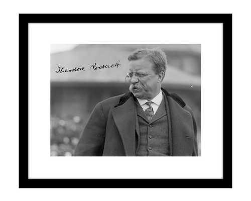 Theodore Roosevelt 8x10 Signed Photo TR Teddy Autographed President Poster - Picture 1 of 2
