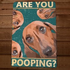 Are You Pooping Dachshund Dogs 8x12 Funny Bathroom Metal Wall Sign 2