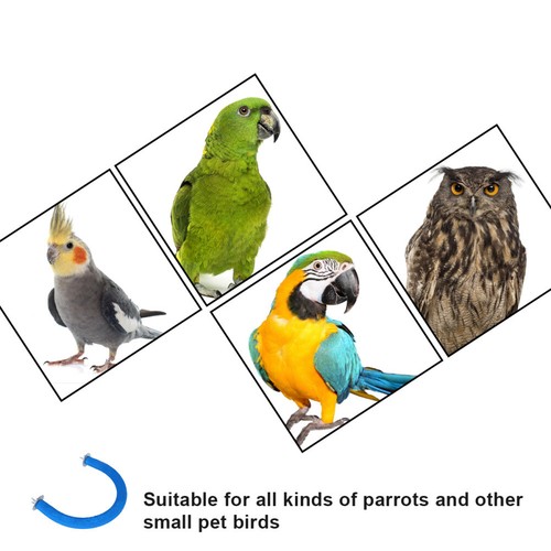 Cage Accessoire Perche Perruche Nail Perche vendre Parrot Lecture Stand