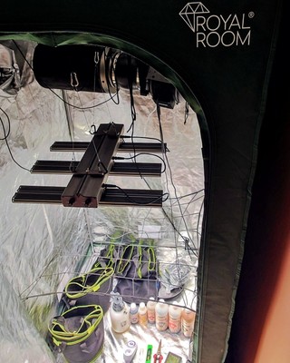 Growset ROYALROOM  mit AC INFINITY Ausstattung, 360W Lampe uvm.  Starterpack TOP