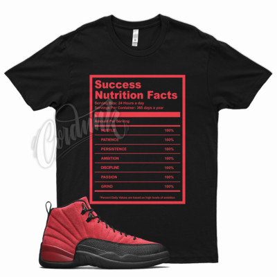 ★2024SS新作★BORN TO WIN★FLAME OVER FIT T-SHIRTS Black SUCCESS FACTS T Shirt for J1 12 Reverse Flu Game