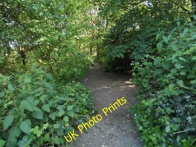 Foto 6x4 Der Wald von Eversley, Flottenflotte\/SU8054 um 2015