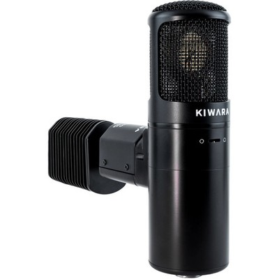 Kiwara Audio KA-800G Large Diaphragm Tube Condenser Microphone | eBay
