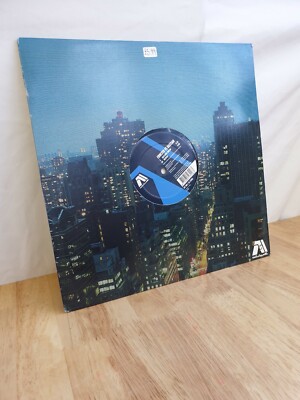 Ernesto Vs Bastian Bastians Dream Heaven 12 Inch Vinyl Dance Record 