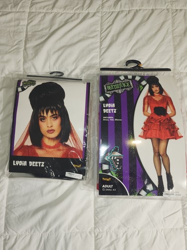 Lydia Deetz Costume - Adult 4-6