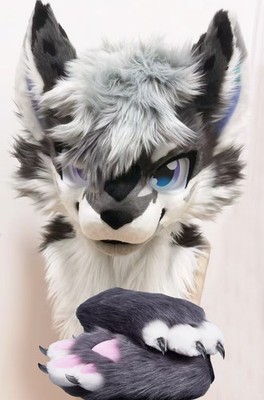 Fursuit Long Fur Husky Fox Mascot Head Party Halloween Fur Cosplay-Promotion