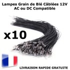 MODÉLISME LOT 10 MINI LAMPES Grain de Blé Câblées 3mm 12V AC/DC JOUEF ROCO MKD