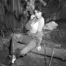 1960s Negative-sexy brunette pinup girl Amanda Belkain-cheesecake t258026