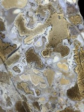 KING COBRA JASPER SLAB - 8.67oz UNPOLISHED Lapidary Rough Rock Mineral Cabbing