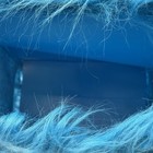Bild 6 von 12
