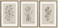 Vintage Botanical Wall Art 24"X16" Set of 3 Wood Framed Wildflower Pictures Wall