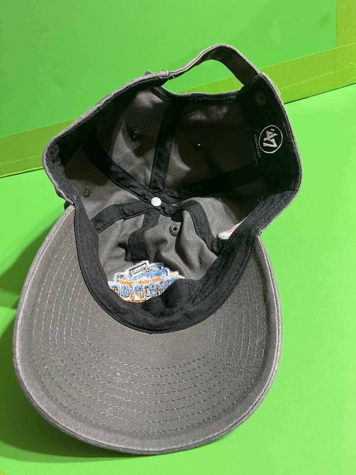 Eastern League Akron Rubber ducks Hat Cap Strap Back 2016 Champions 47