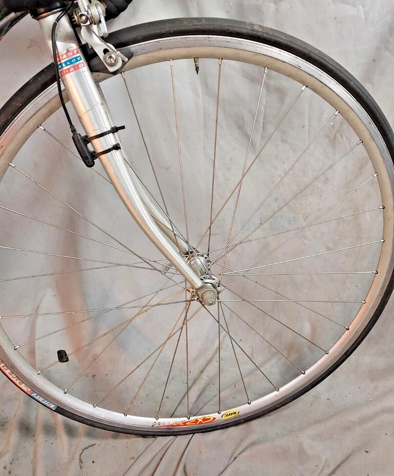 Bicicleta de carretera de carreras Giant Cadex 980C 1995 X-Small 49 cm Ultegra Brifters ¡Envío rápido! Foto 4 de 4