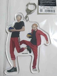 lev haiba merch