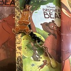Lot Of 10 Brother Bear Books Posters And A RARE Lanyard Pin Disney — photo 2