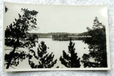 RPPC POSTCARD MARFIELD MICHIGAN ARBUTUS LAKE PINE TREES #E7
