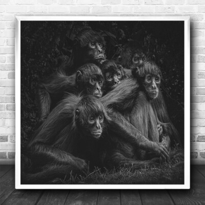 Affe Tier Affen Affen Affen dunkle Umarmung niedlich quadratisch Wandkunstdruck