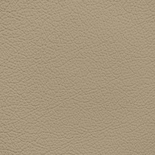 Ford/Lincoln/Mercury Medium Camel Leather Dye