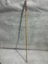 Bamboo Walking Stick