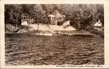 Real Photo Postcard Cottages Pickerel Lake Newaygo Michigan Canoe Dock Flag