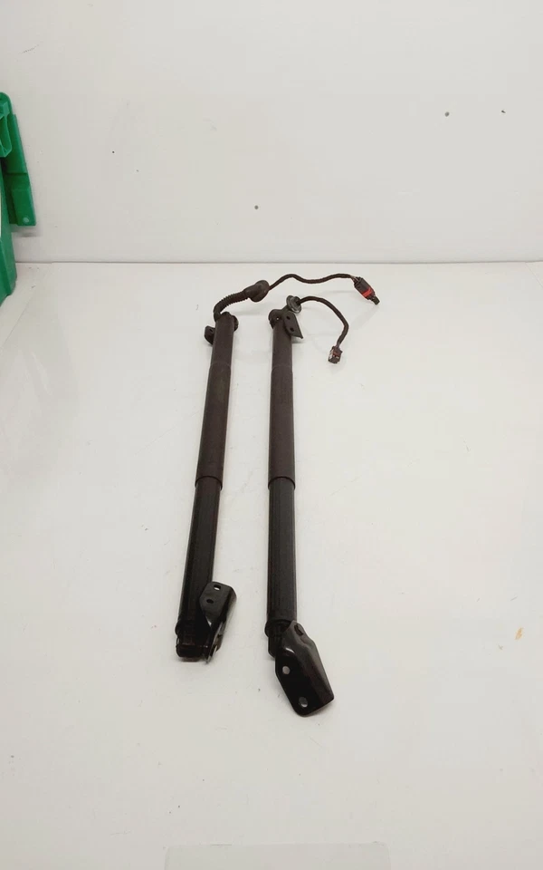 Nissan Murano 2015 - Puntales de cilindro de elevación eléctrica 2X OEM 90560-5AA1A Foto 2 de 4