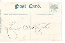 Arches by Night Flint Michigan Postcard MI