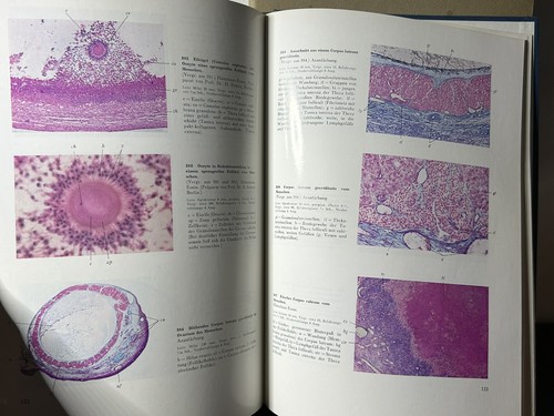 1965 Atlas Of Human Histology And Microscopic Anatomy By Ernst Von Herrath - Picture 12 of 12