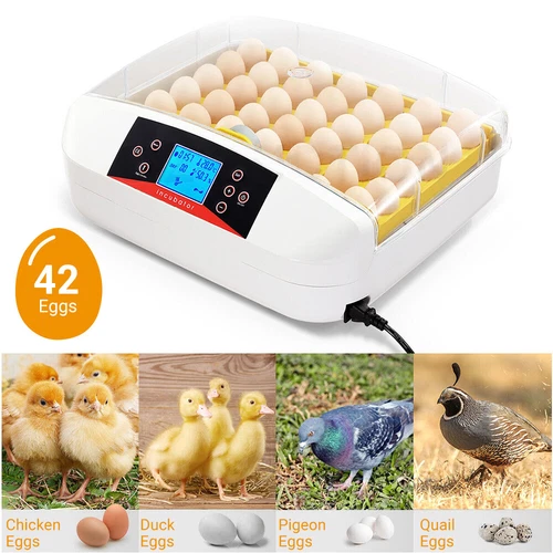 Egg Incubator LED Fully Automatic Digital Auto Turning 42 Eggs Hatcher Poultry - Picture 7 of 12