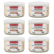 Canned Mealworms for Reptiles, Fish, Birds Small Animals - 6 Pack