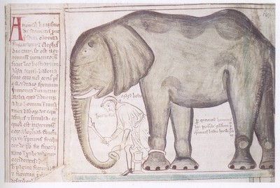 135 Matthew Paris an Elephant and Its Mahout 1255 Vintage Art Print Poster Wall