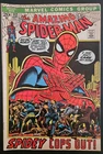 Marvel Comics the Amazing Spider-Man #112, September 1972 Group Comic Book