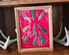 Knife Display Case Arrowheads 12 x 9.5 Coins Medal Oak  Red Wood USA Shadow Box