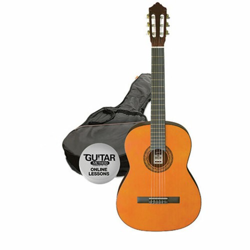 Ashton SL29/12CEQ Tsb 12 String Acou/Elec | eBay Australia